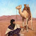 beduino in sosta