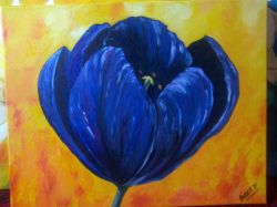 tulipa azul
