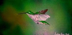 il volo del colibrì