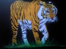 tigre siberiana