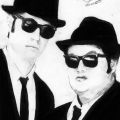 Blues brother
