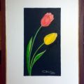Tulipani su sfondo nero