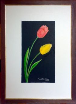 Tulipani su sfondo nero