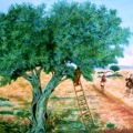 La raccolta degli ulivi, paesaggio siciliano