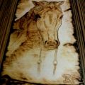 Cavallo su pergamena - Quadro pirografato su legno