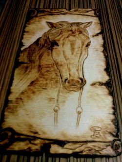 Cavallo su pergamena - Quadro pirografato su legno