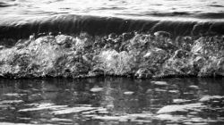 waves 2