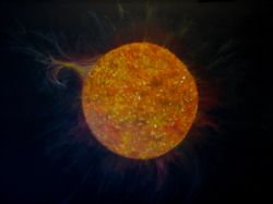 trittico degli elementi - il sole