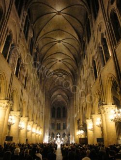 Inside Notre Dame