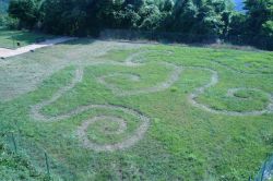 circles in the grass