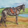 Cavallo "Poswiata" -  sport horse, mare
