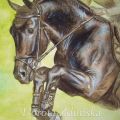 Cavallo "Saltado"- Jumping Black Horse