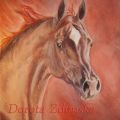 "Desert Rose"- cavallo arabo
