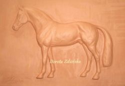 Bassorilievo-cavallo ARGILIO DH warmblood 