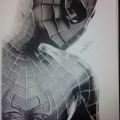 Ritratto Spider Man ( Davide Di Girolamo )