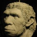 Neanderthal in progress