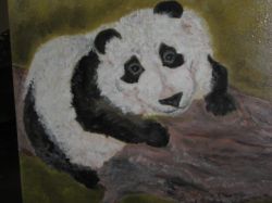 Panda sull'abero