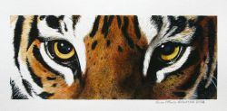 Gli occhi della tigre