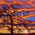 "Un albero al tramonto"