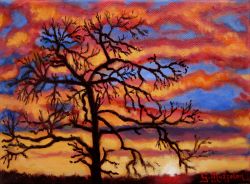 "Un albero al tramonto"