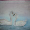 Swans'Love