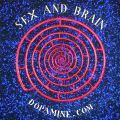 sex and brain