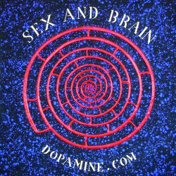 sex and brain