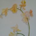 Part. Murales Orchidee