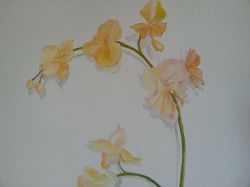 Part. Murales Orchidee