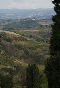In Toscana 003