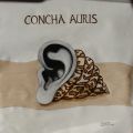 Concha Auris