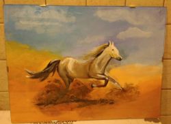 Cavallo nel deserto