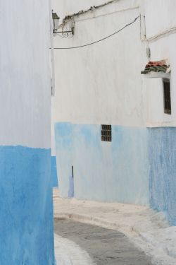 Mediterraneo Bianco & Blu