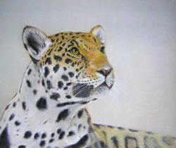 Leopardo (2009)