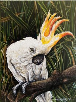 pappagallino
