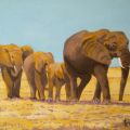 LG 0283 - Elefanti