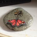 farfalla con vespa