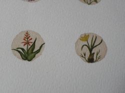 Miniature floreali 