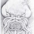 Human Octopus - 2014 