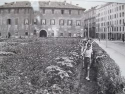 1943 L'orto di guerra a P.za S.Marco Milano