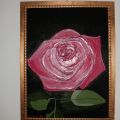 rosa  1995 dedicato     A Rosita