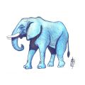 Elefante Blu