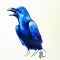 Uccello Blu 