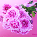 Bouquet di rose e gerbere per Antonella Benetti