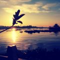 Mekong River sunrise