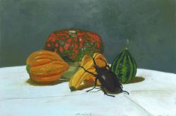 Pumpkins with beetle