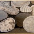 Piedras preciosas (Pietre preziose)
