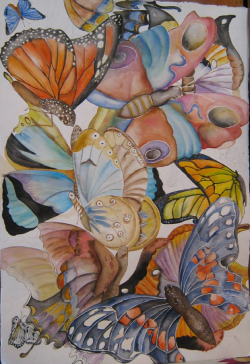 Farfalle di Lidia Cipolla
