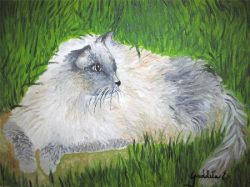 "gatto sull'erba" opera personale