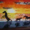 Cavalli al tramonto 